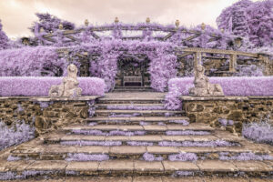 Bodnant Garden Terrace